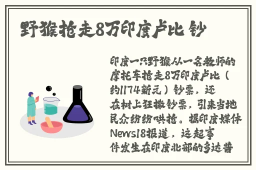 年轻的母亲6观有限中字