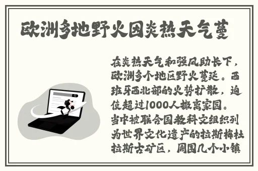 x7x7x7暴力槽256w